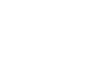 OFFICIAL SELECTION - FICNOVA 2022 (W)